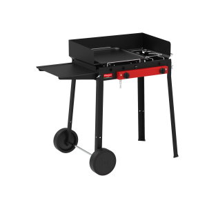 Barbecue Plancha Gas Combinato