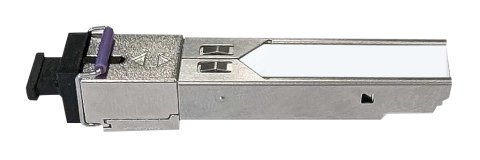 SFP01